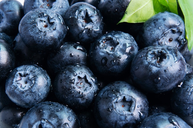 Fresh close up Blueberry Background