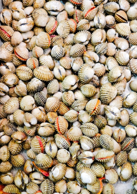 Fresh cockles background