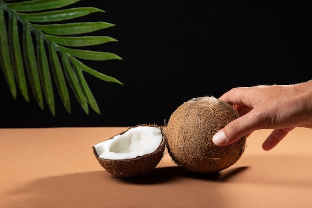 Fresh coconut with coconut leaf