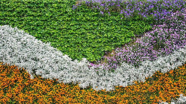 Fresh colorful flowers foliage