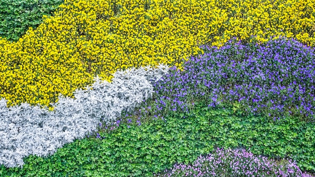 Fresh colorful flowers foliage