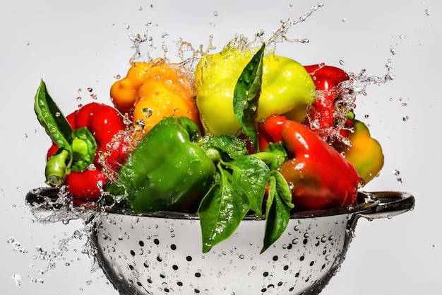 Fresh colorful peppers in a silvery colander Splashed when washing drops of water