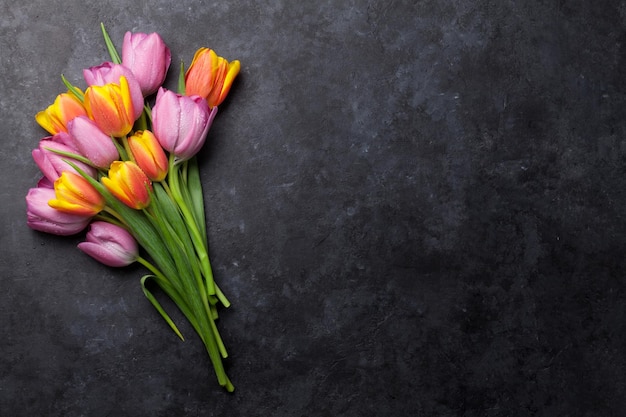 Fresh colorful tulip flowers