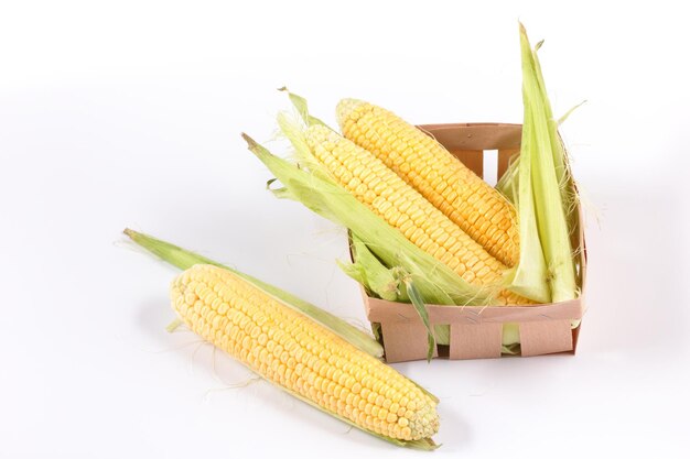 Fresh corn on the cob closeup Fresh corn cobs with leaves in wooden basket isolated on white background Sweet corns with husk