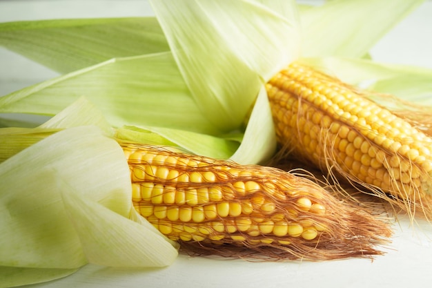 Fresh corn on the cob on a wooden white table closeup