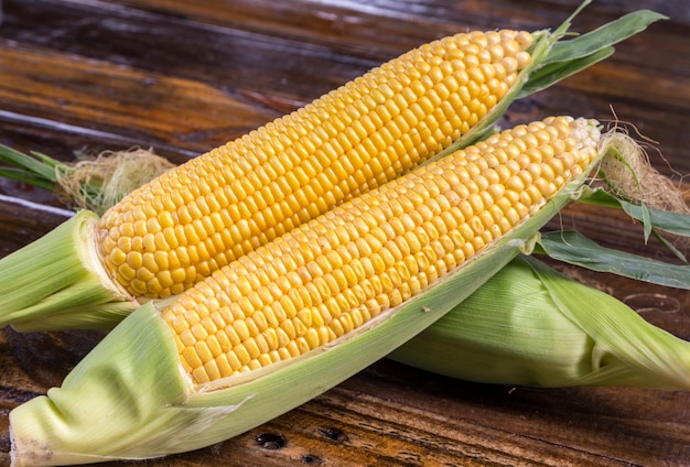 fresh corn cob 