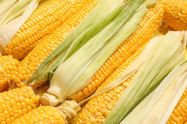 Fresh corn cobs as background