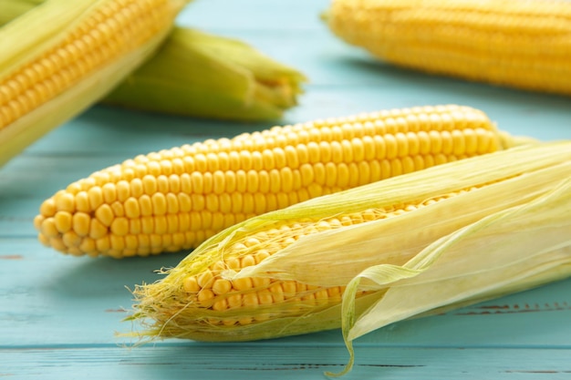 Fresh corn on cobs on blue wooden background