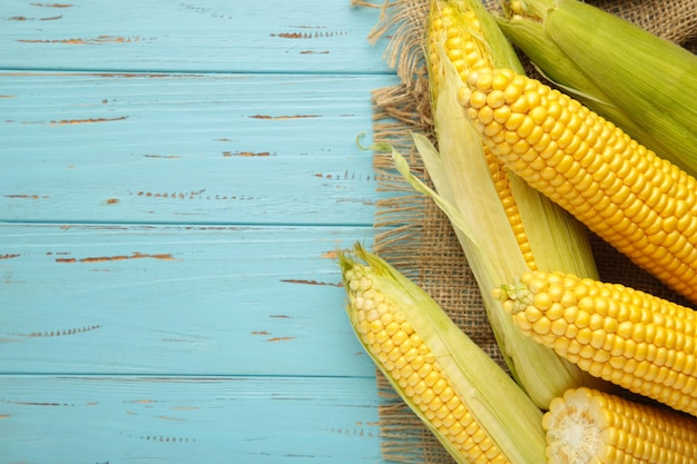 Fresh corn on cobs on bue wooden background