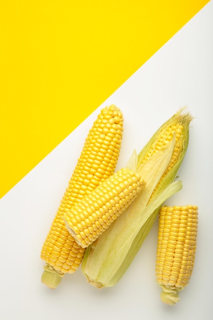 Fresh corn on cobs on white and yellow background