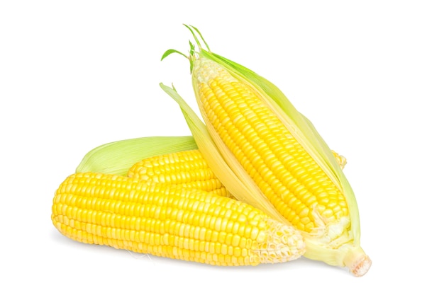 Fresh corn on cops isolated on white surface with clipping path.Selective focus.