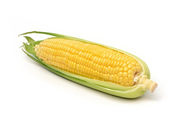 Fresh corn isolated on white background.