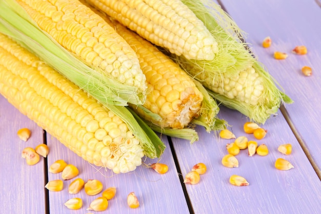 Fresh corn vegetable on wooden table