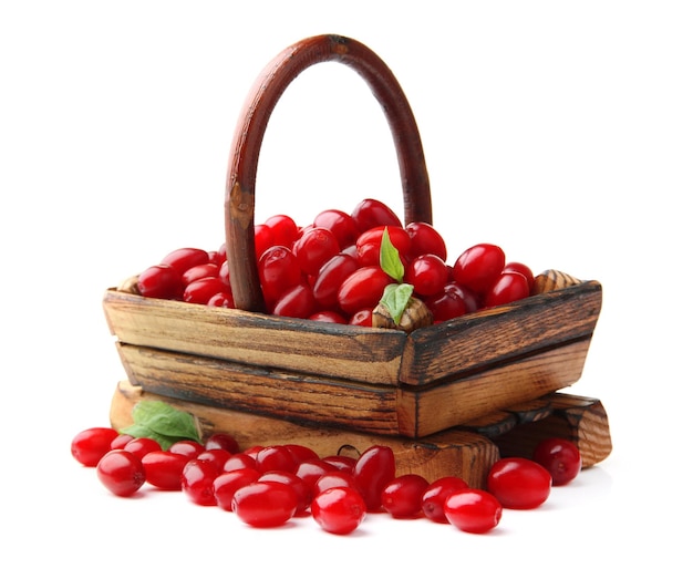 Fresh cornel berries in wooden basket isolated on white