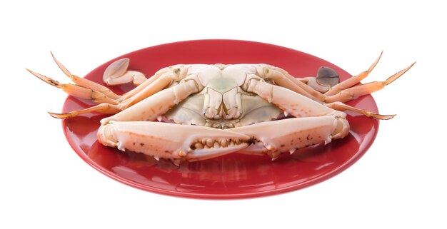 fresh crab on a red plate isolated on white background