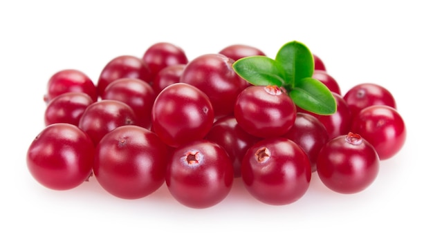 Fresh cranberry isolated on white background closeup