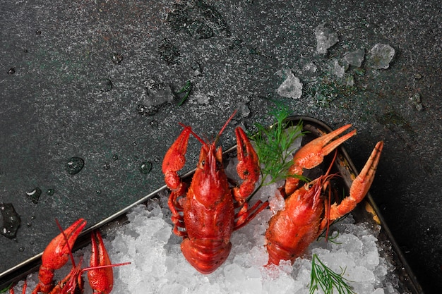 Fresh crayfish food on a black plate background. Red crayfish snack seafood with herb spices lemon rosemary and ice in the restaurant gourmet food healthy