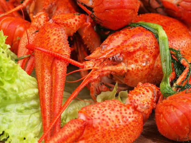 Fresh crayfish