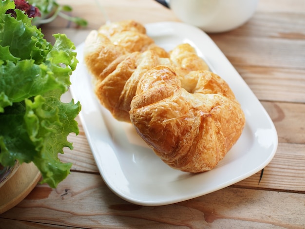 Fresh croissant in fresh morning 