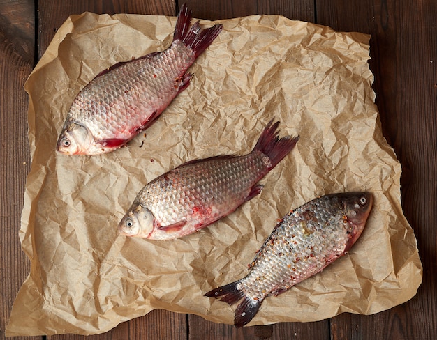 fresh crucian fish with scales on a crumpled brown piece of paper