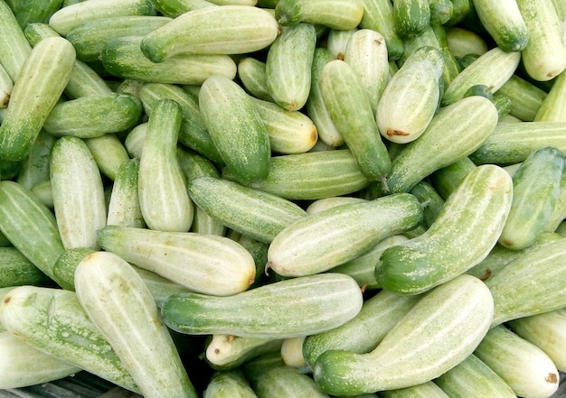 Fresh  Cucumber on bamboo busket