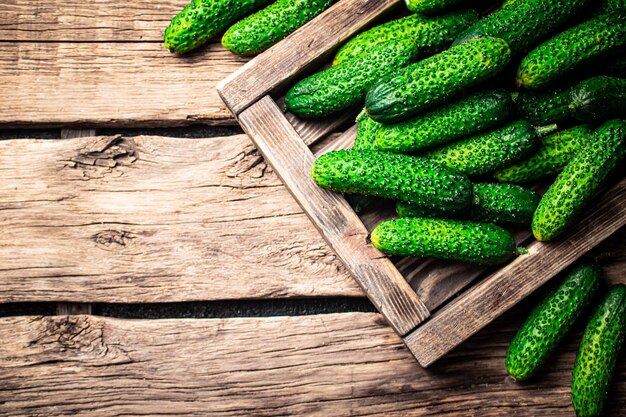 Fresh cucumbers on a wooden tray