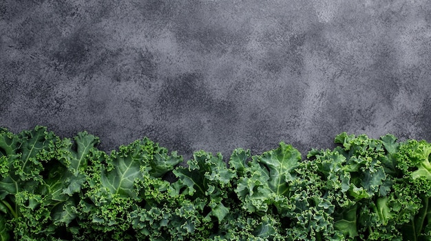 Photo fresh curly kale frame on dark background