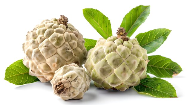 Fresh custard apples with green leaves Healthy tropical fruit for summer White background for easy editing Perfect for food blogs and health articles AI