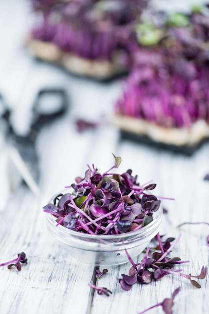 Fresh cutted Cress on wooden background selective focus