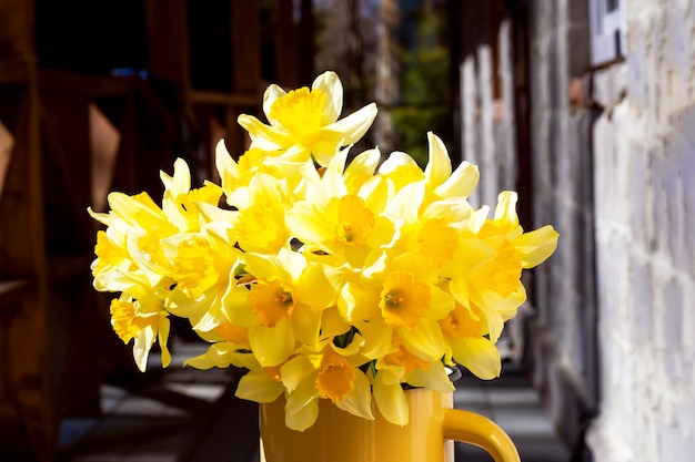 Fresh daffodils in a mug on the veranda