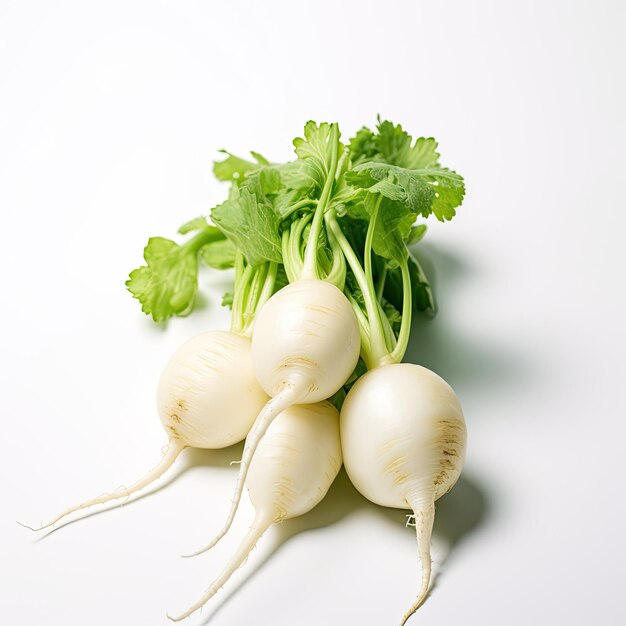 Fresh Daikon isolated on white background