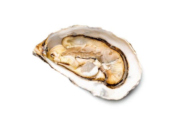 Fresh delicatessen oyster isolated on white surface