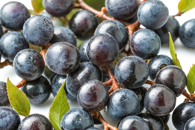 Fresh DewKissed Black Grapes on a Vine background texture