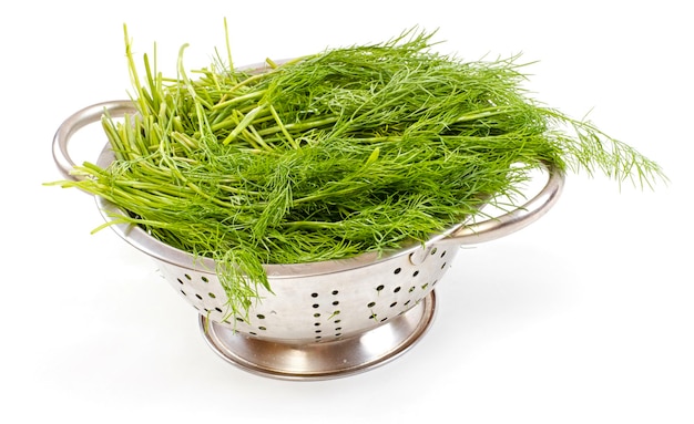 Fresh dill