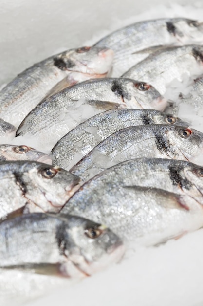 Fresh dorado fish on ice in the store Diet and healthy eating Closeup Vertical