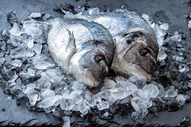 Fresh Dorado fish in pieces of ice on a dark background