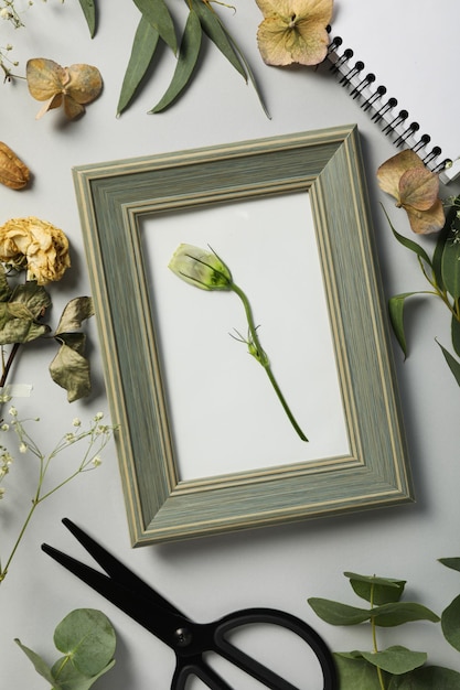 Fresh and dried plants photo frame scissors and notepad on light background top view