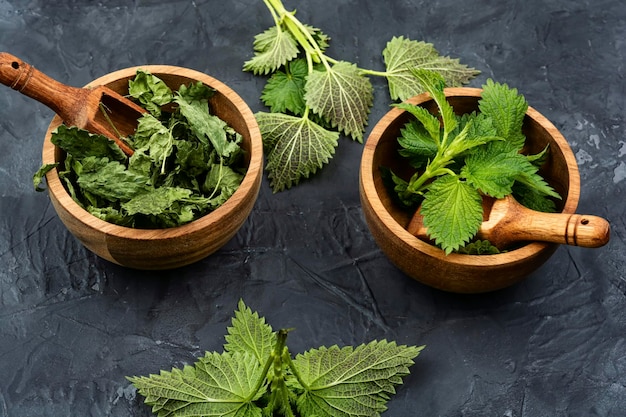 Fresh and dry nettle