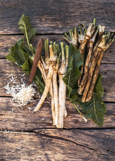 Photo fresh, dug-out root horseradish with leaves on the pile