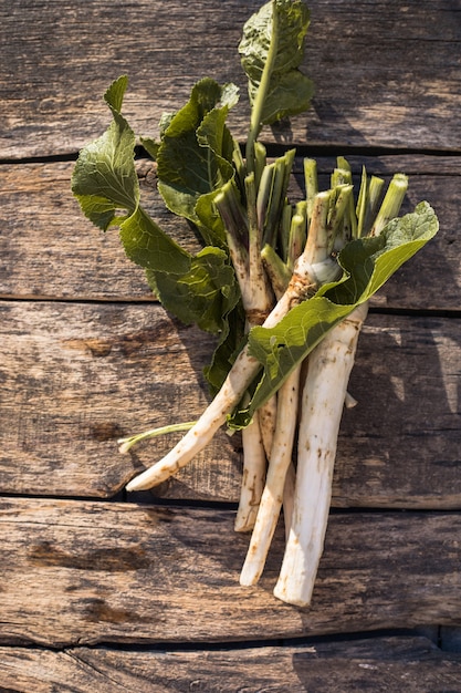 Photo fresh, dug-out root horseradish with leaves on the pile