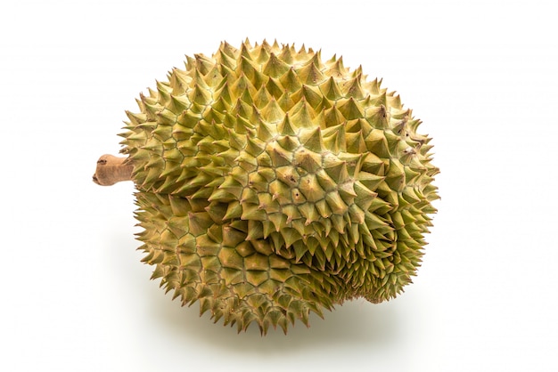 Fresh Durian Fruit