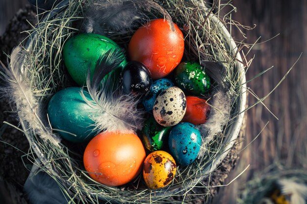 Fresh Easter eggs in the nest with hay