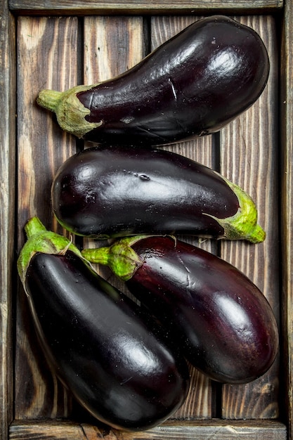 Fresh eggplant on tray