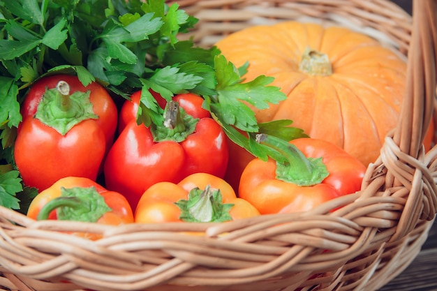 Fresh farmers garden vegetables on wooden table