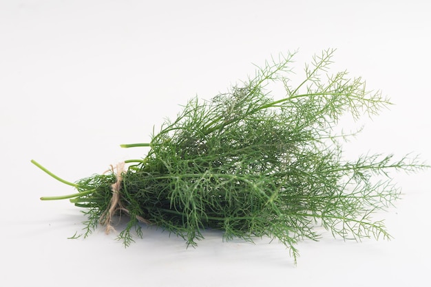 Fresh fennel in white background