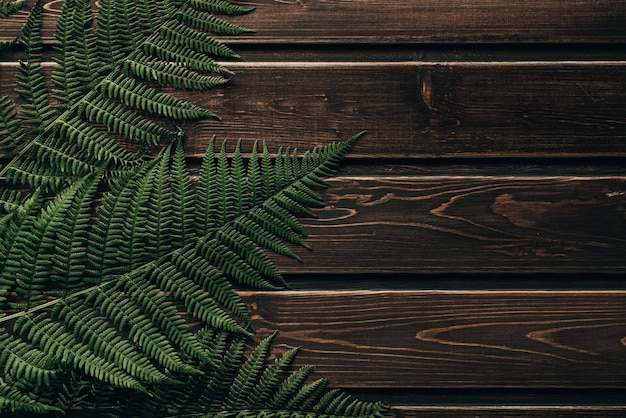 Fresh fern border on vintage wooden background with copy space