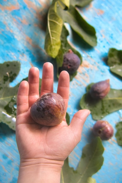 Fresh figs in hand with nature background