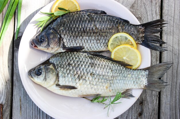 Fresh fish carp on a plate and on the grass with lemon circles