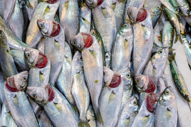 Fresh fish on the ice in the marketxA