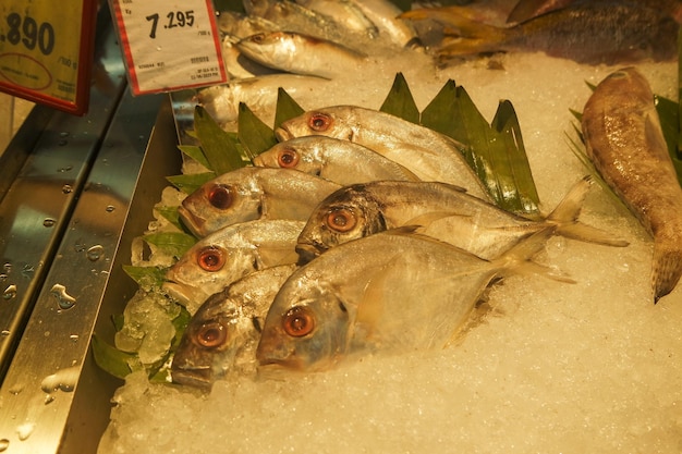 fresh fish in the market background